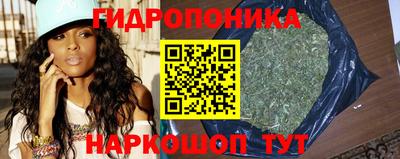меф Кингисепп